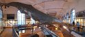 IMG_7880 - Panorama